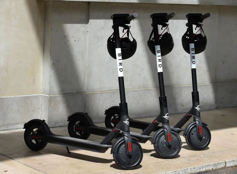 A picture taken in Paris on July 31, 2018 shows electric scooters of US start-up Bird. - Bird will launch its sharing service in Paris on August 1, 2018. (Photo by ERIC PIERMONT / AFP)        (Photo credit should read ERIC PIERMONT/AFP/Getty Images)