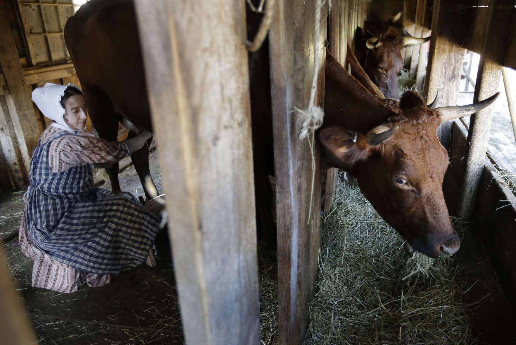 Old Sturbridge Village Rethinks How It Presents The Past