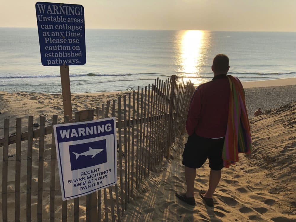 Steve McFadden, 49, of Plattsburgh, N.Y. gazes at Long Nook Beach in Truro on Thursday. Authorities closed the Cape Cod beach to swimmers after a man was attacked by a shark on Wednesday, the first attack on a person in Massachusetts since 2012. The unidentified victim survived the attack and was airlifted to a Boston hospital. (William J. Kole/AP)