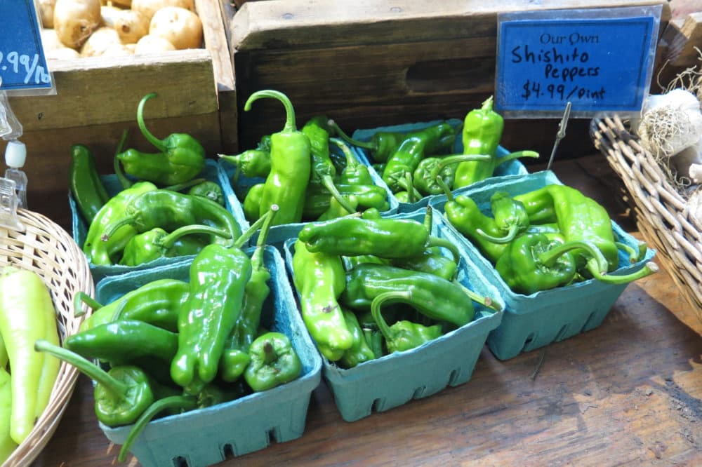 Shishito peppers for sale at the Allandale Farm. (Andrea Shea/WBUR)