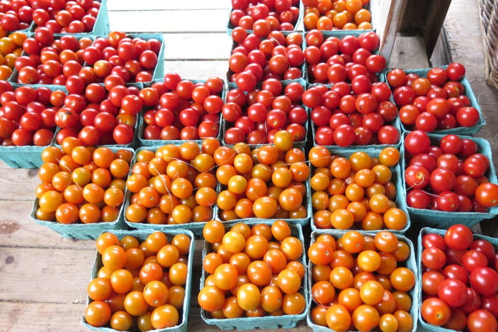 Tomatoes at Allandale Farm (Photo by Andrea Shea) 