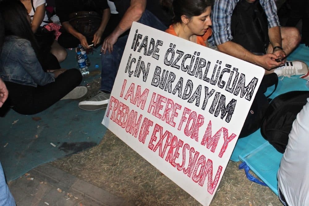 A protester holds a sign in Gezi Park, off Istanbul’s Taksim Square, on June 5, 2013. (Courtesy Jeremy Gerard)