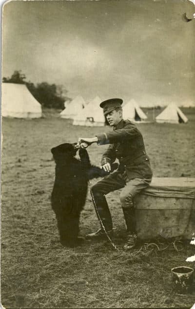 Harry Colebourn with Winnie at the military base in Valcartier, Quebec, in 1914. (Courtesy of the Mattick family)