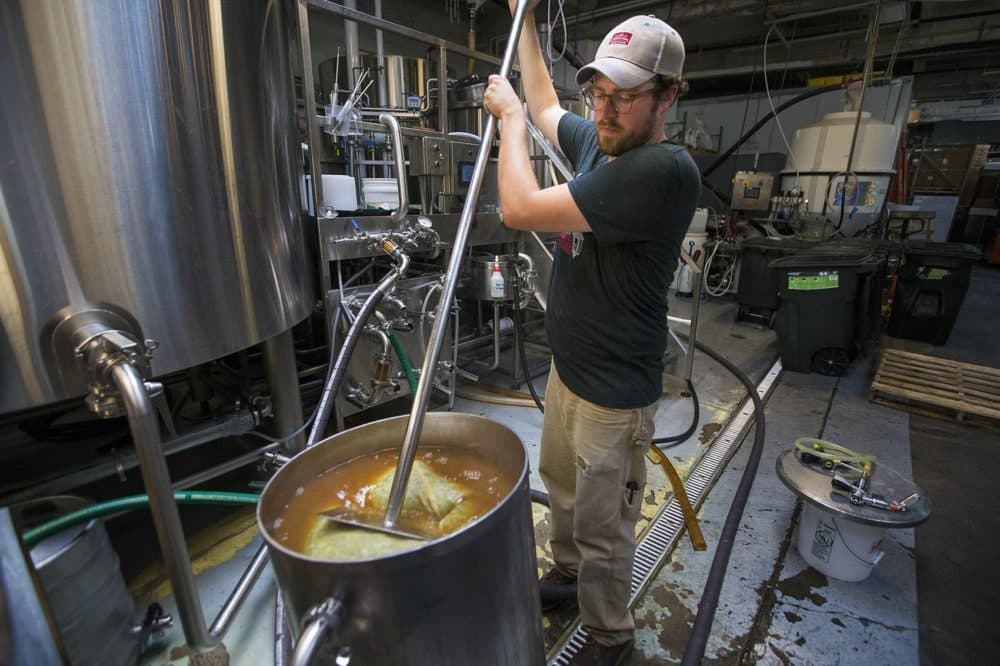 Lamplighter brewmaster Tyler Fitzpatrick stirs Magnum wet hops from Four Star Farms. (Jesse Costa/WBUR)