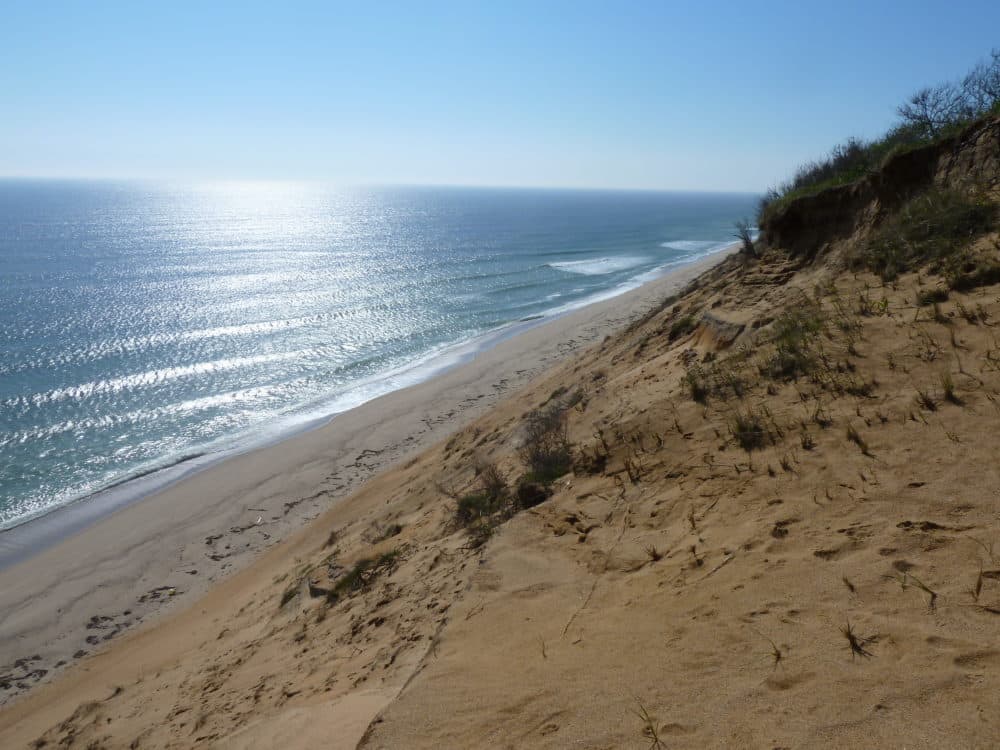 Oceanside bluffs at Cape Cod National Seashore. (Robin Baranowski/NPS)