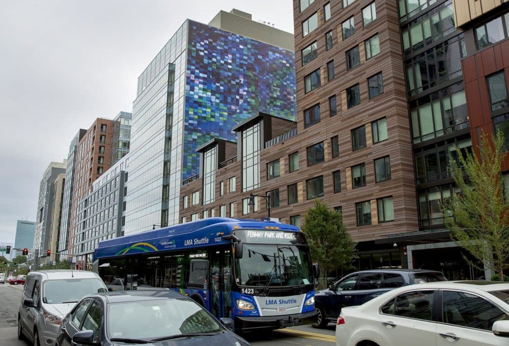 Raúl de Nieves' &quot;All Is One&quot; in the Fenway neighborhood. (Robin Lubbock/WBUR)