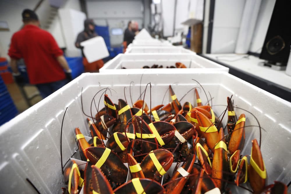 Live lobsters are packed in coolers for shipment to China at The Lobster Company in Arundel, Maine. The company says it has resorted to layoffs due to shrinking business. (Robert F. Bukaty/AP Photo)