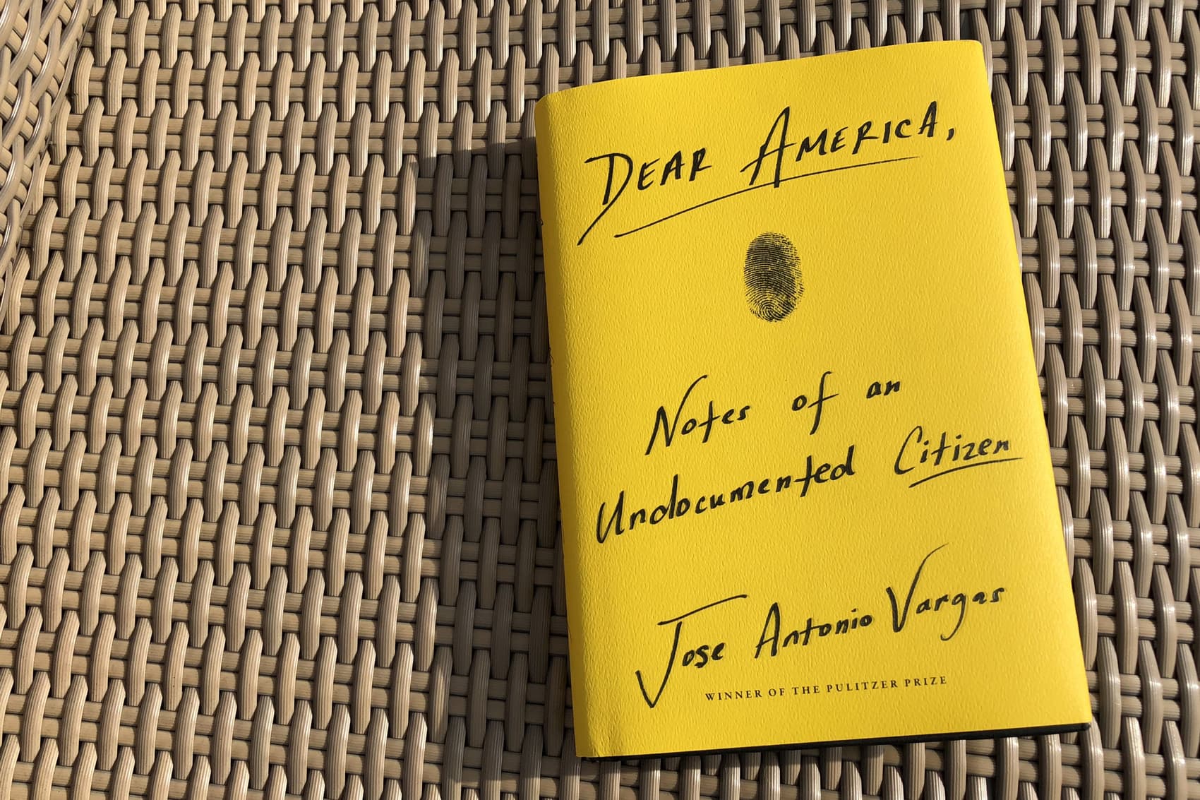 "Dear America," by Jose Antonio Vargas. (Alex Schroeder/On Point)