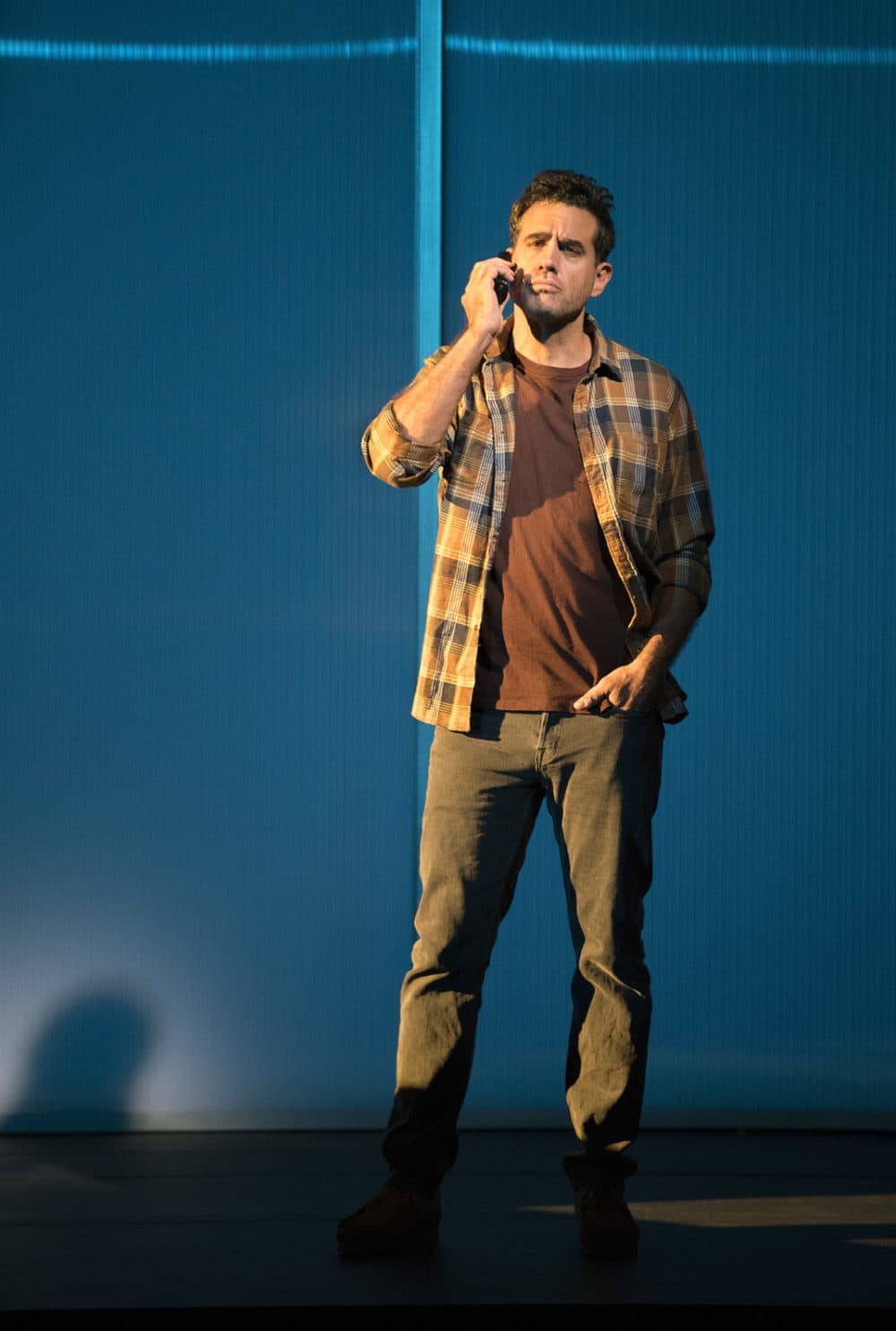 Bobby Cannavale in "The Lifespan of a Fact." (Courtesy of Peter Cunningham)