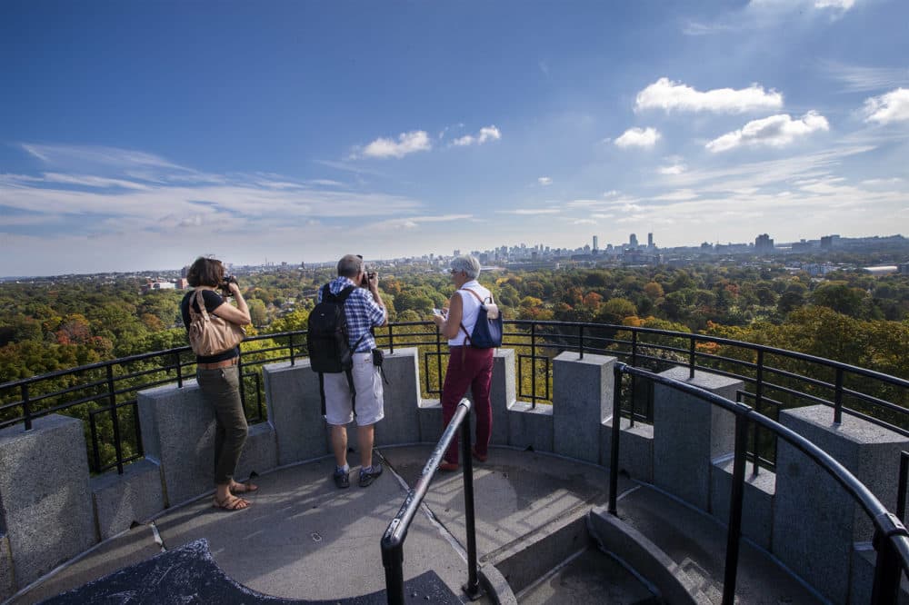 Visitors of Mount Auburn Cemetery stand atop Washington Tower while taking photographs of the Boston skyline. (Jesse Costa/WBUR)