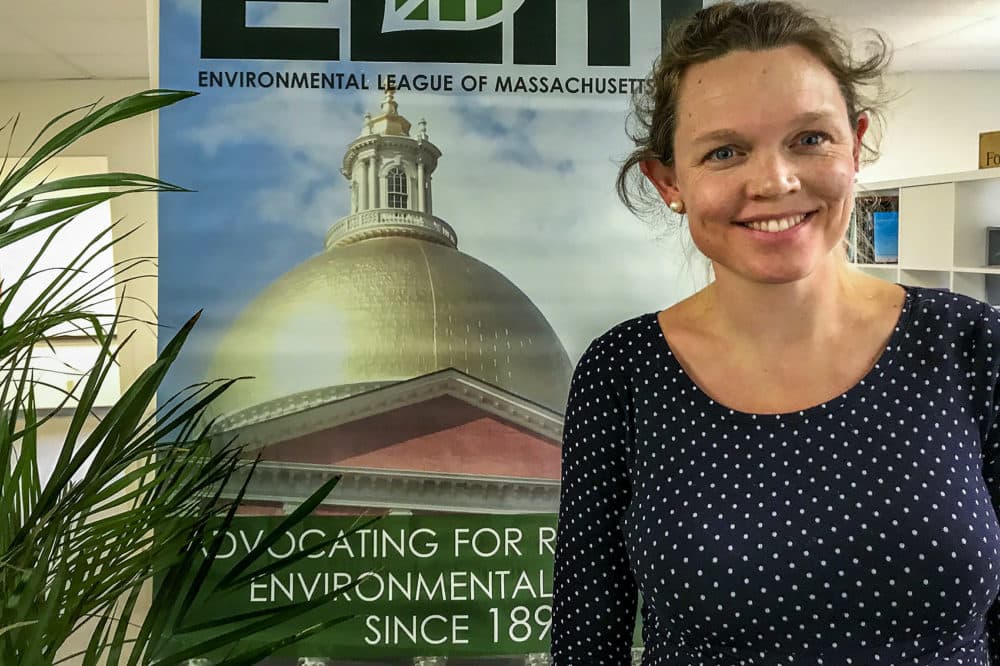 Elizabeth Henry is president of The Environmental League of Massachusetts. (Bruce Gellerman/WBUR)