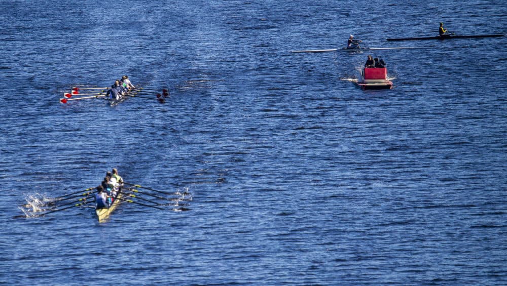 Rowers train on the Charles River two days before the Head of the Charles Regatta. (Jesse Costa/WBUR)