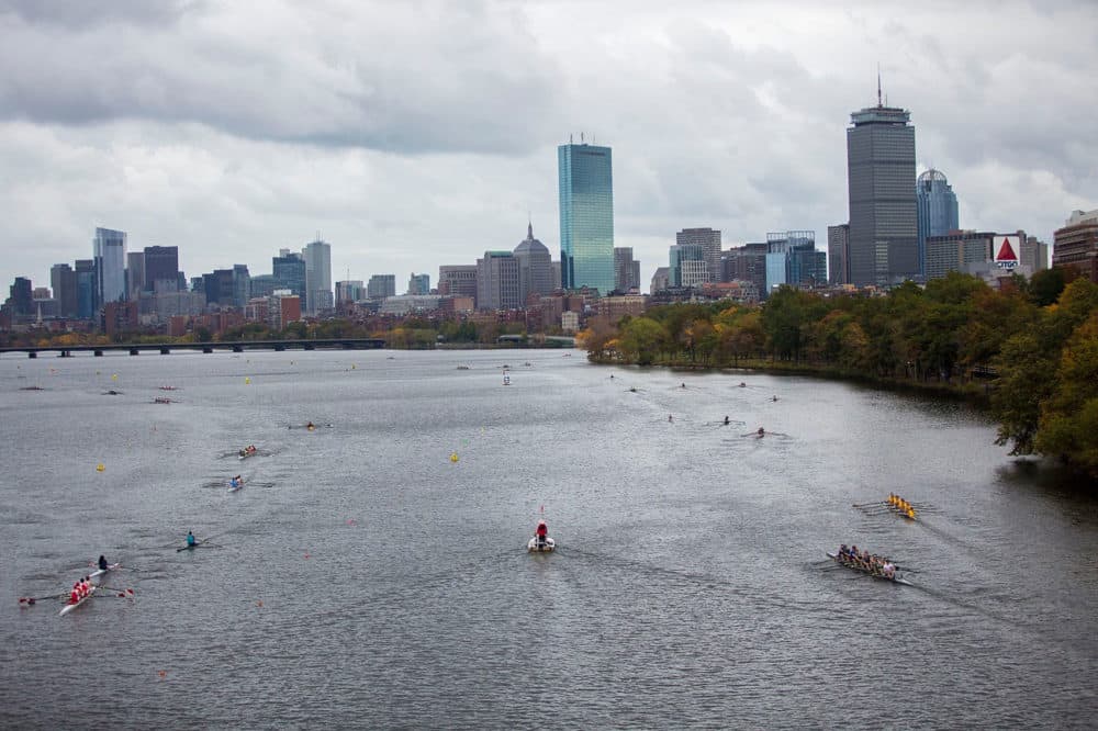 Rowers prepare for the Head of the Charles Regatta on Oct. 21. (Jesse Costa/WBUR)