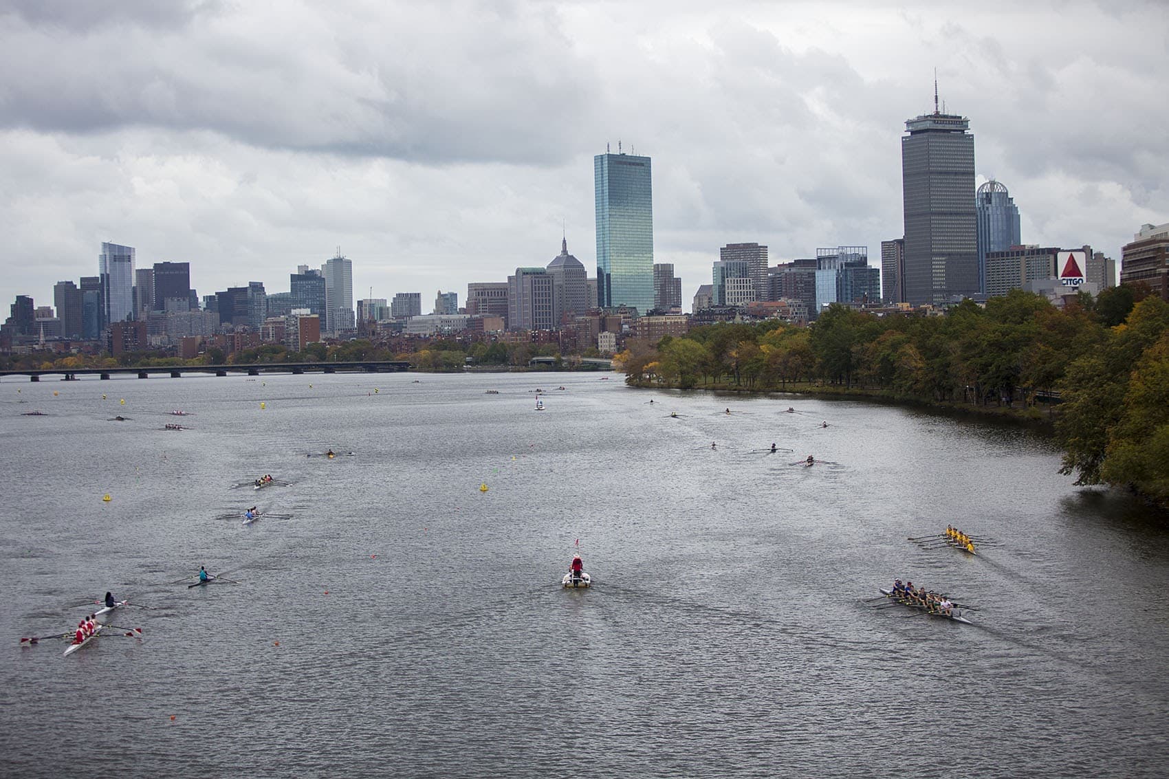 Rowers preparing for the Head of the Charles Regatta. (Jesse Costa/WBUR)