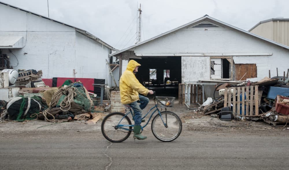 A man bikes past storm debris on River Street in Apalachicola, Fla. (Chris Bentley/Here &amp; Now)