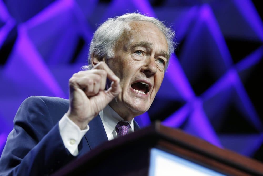 U.S. Sen. Ed Markey speaks during the 2018 Massachusetts Democratic Party Convention in Worcester. (Michael Dwyer/AP)