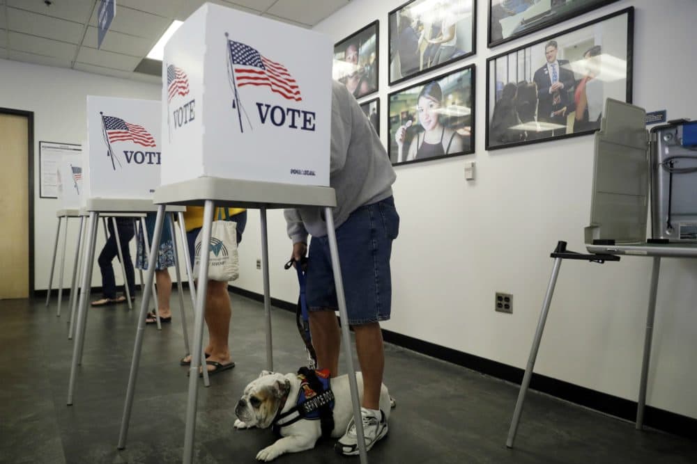 Tom Brezinski, at right, votes while his service dog Suzie lays at his feet at the Los Angeles County Registrar of Voters office Tuesday, Oct. 23, 2018, in Norwalk, Calif. (Marcio Jose Sanchez/AP)