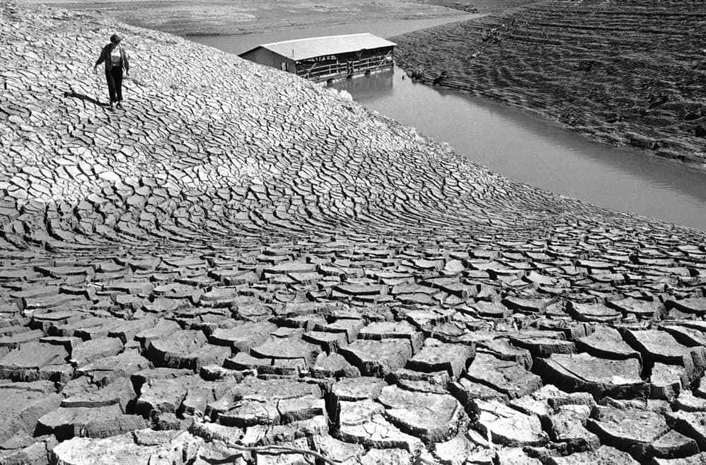 Mud, left baking in the sun by receding water at Pardee Reservoir near Jackson, Calif., March 9, 1977, cracked into surrealistic patterns. (Walter Zeboski/AP)
