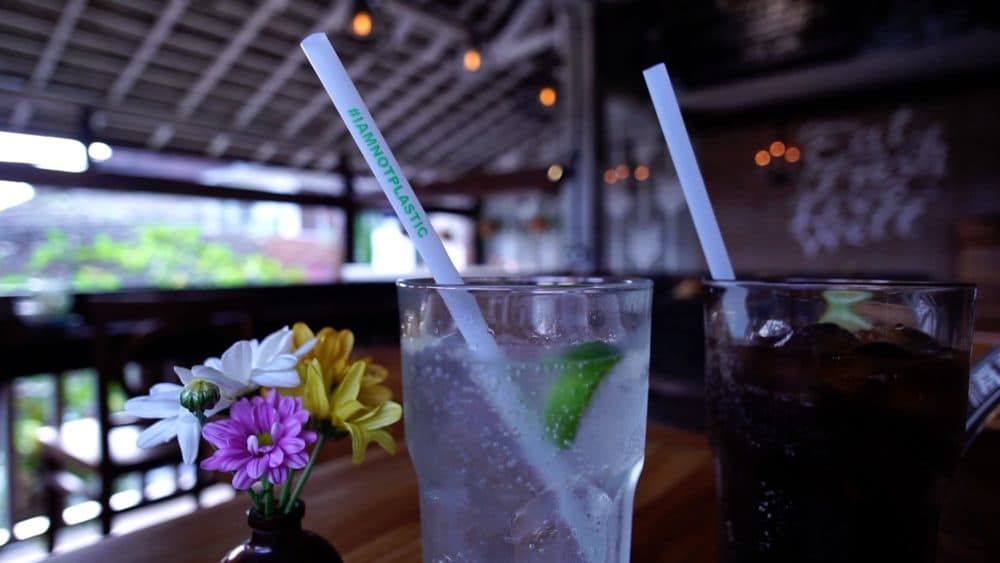 Avani Eco &quot;I Am Not Plastic&quot; straws are widely used at restaurants and bars in Bali. (Courtesy of Niall Macaulay)