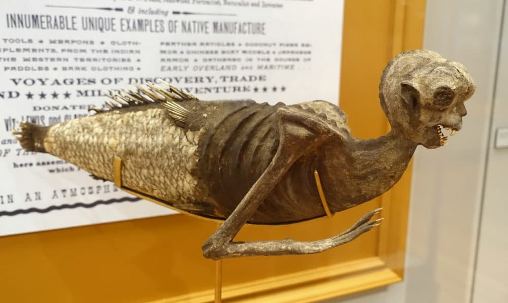 A &quot;Fiji mermaid,&quot; displayed in Harvard University's Peabody Museum of Archaeology and Ethnology. (Daderot/Wikimedia Commons)