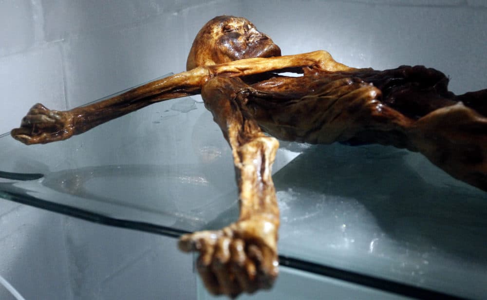 The mummy of an iceman named Oetzi, discovered in 1991 in the Italian Schnal Valley glacier, is displayed at the Archaeological Museum of Bolzano on February 28, 2011 during an official presentation of the reconstruction. (Andrea Solero/AFP/Getty Images)
