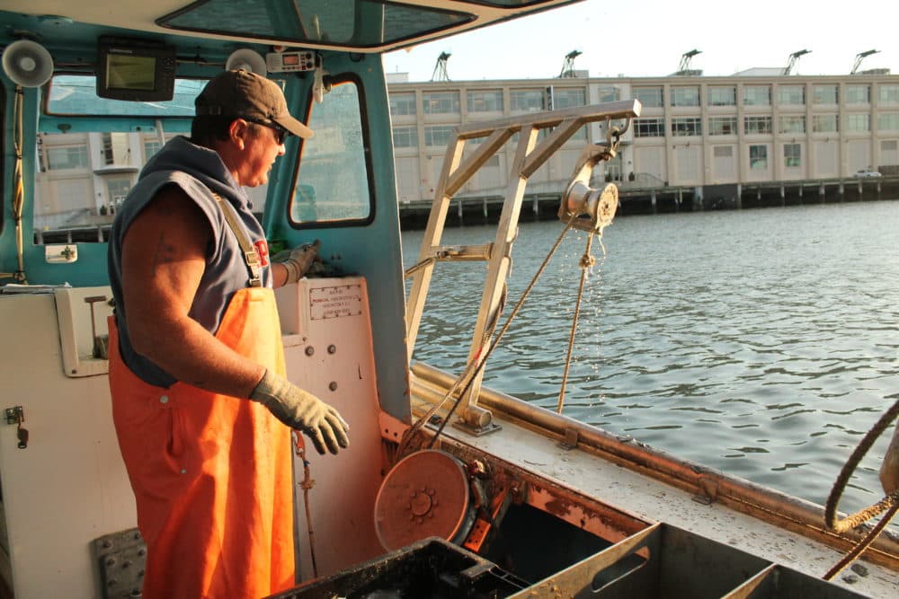 Lobsterman Steve Holler hoists his lobster traps out of Boston Harbor and into his boat on a July morning. (Hannah Chanatary/WBUR)