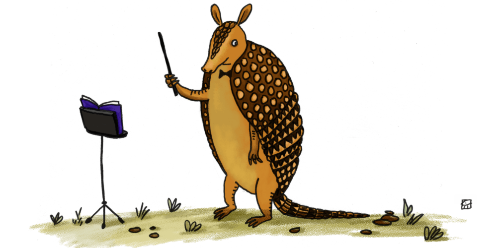 'Armadillo’s Song' Circle Round 44 Circle Round