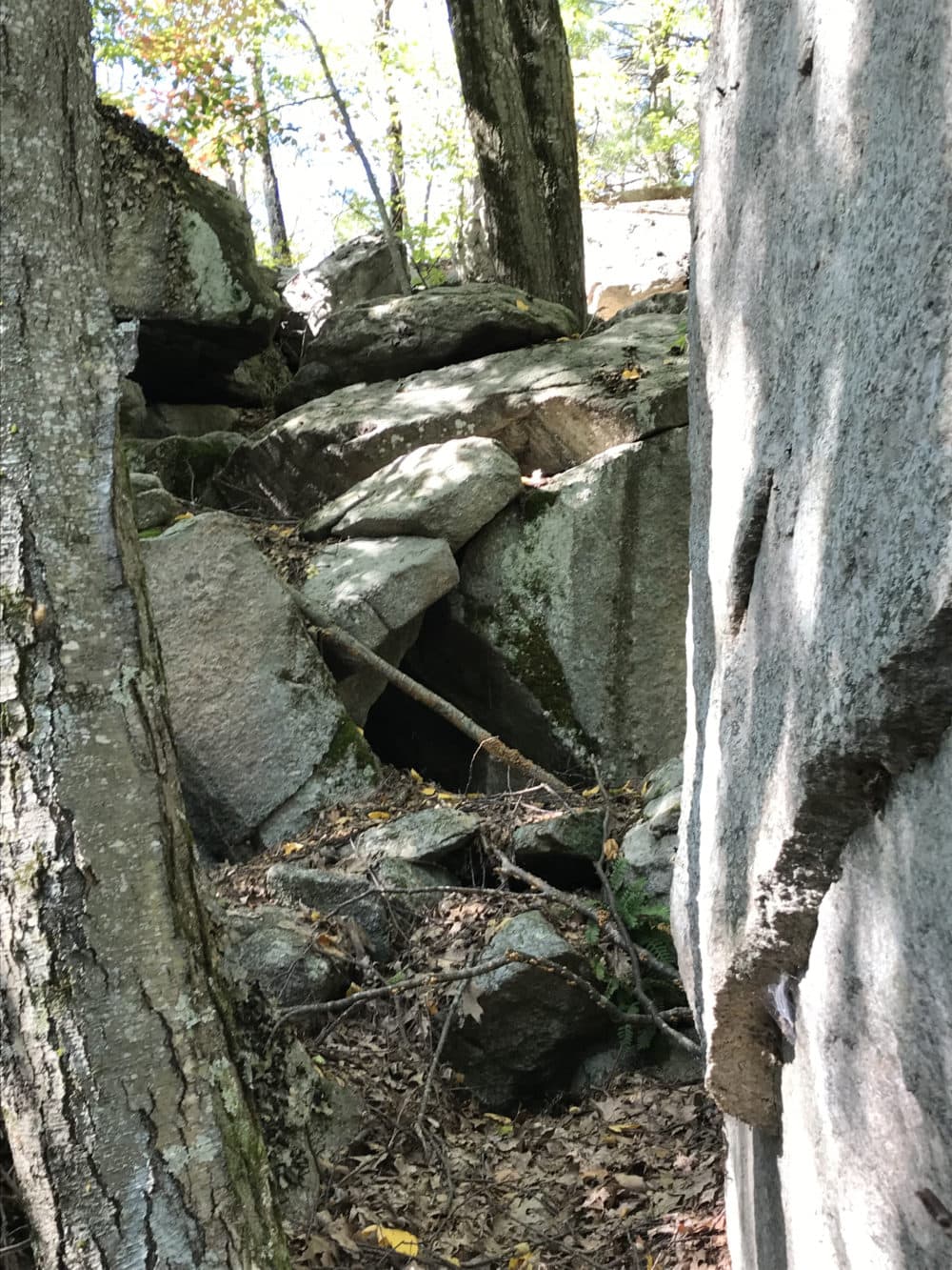 Local historians say in 1693 some people suspected of witchcraft traveled to the woods in the Framingham/Ashland area to hide in the &quot;witch caves.&quot; (Deborah Becker/WBUR)