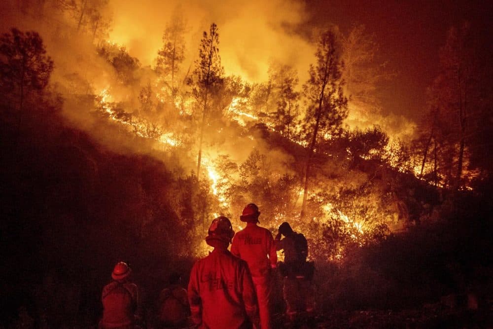 In this Aug. 7, 2018 file photo, firefighters monitor a backfire while battling the Ranch Fire, part of the Mendocino Complex Fire near Ladoga, Calif. (Noah Berger/AP)