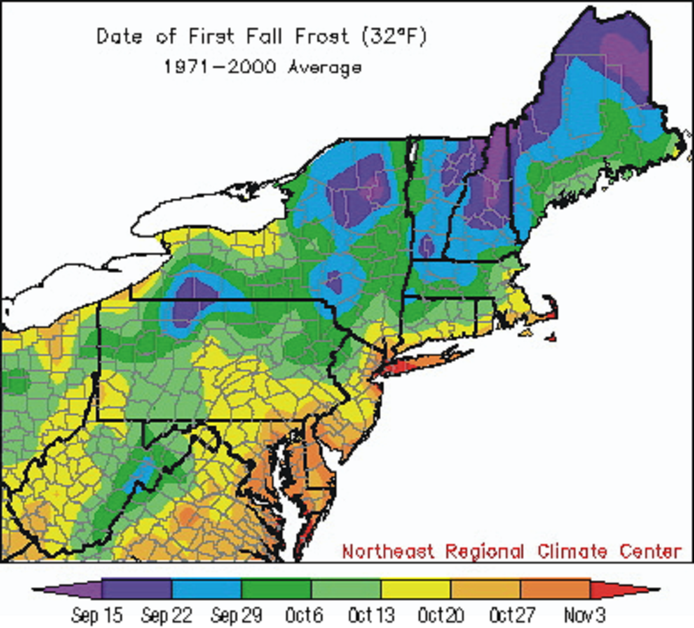 Although it is warm this week, the average date of first frost is nearing many areas. (Courtesy Northeast Regional Climate Center)