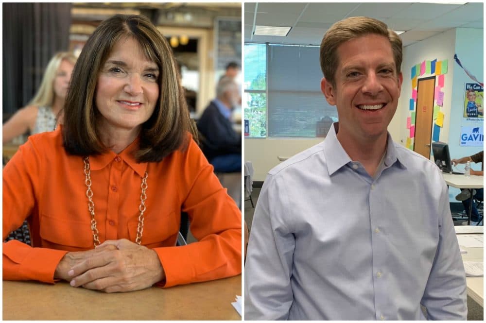 Republican Diane Harkey and Democrat Mike Levin are running against each other to succeed California Republican Rep. Darrell Issa in the state's 49th Congressional District. (Chris Bentley for Here & Now)