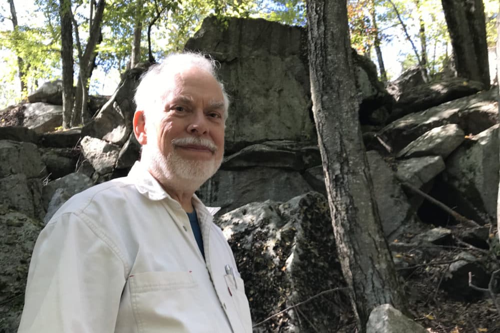 Rob St. Germain, a member of the Ashland Town Forest Committee, takes visitors into the woods in Ashland to view the &quot;witch caves.&quot; (Deborah Becker/WBUR)