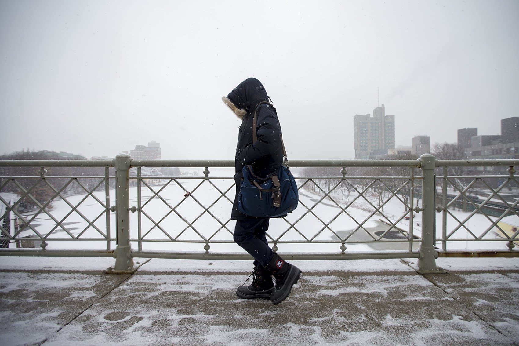 There's a likelihood that the overall winter ends up slightly colder than average and somewhat snowier than average. (Jesse Costa/WBUR)