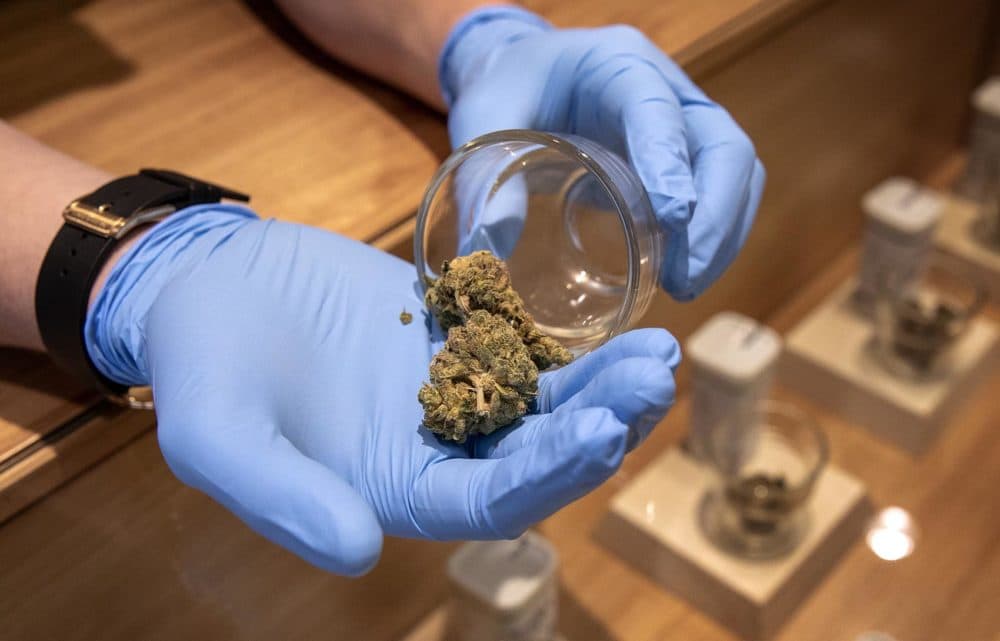 A marijuana sample at Cultivate (Robin Lubbock/WBUR)