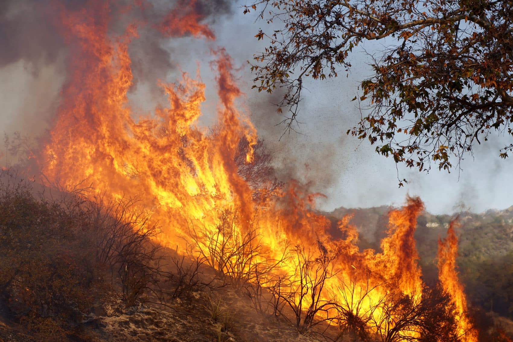 A wildfire burns at the Salvation Army Camp on Nov. 10, 2018 in Malibu, Calif. (Sandy Huffaker/Getty Images)