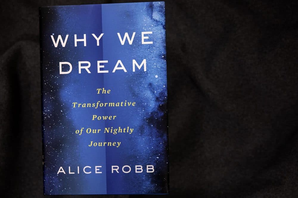 &quot;Why We Dream — The Transformative Power Of Our Nightly Journey,&quot; by Alice Robb. (Robin Lubbock/WBUR)