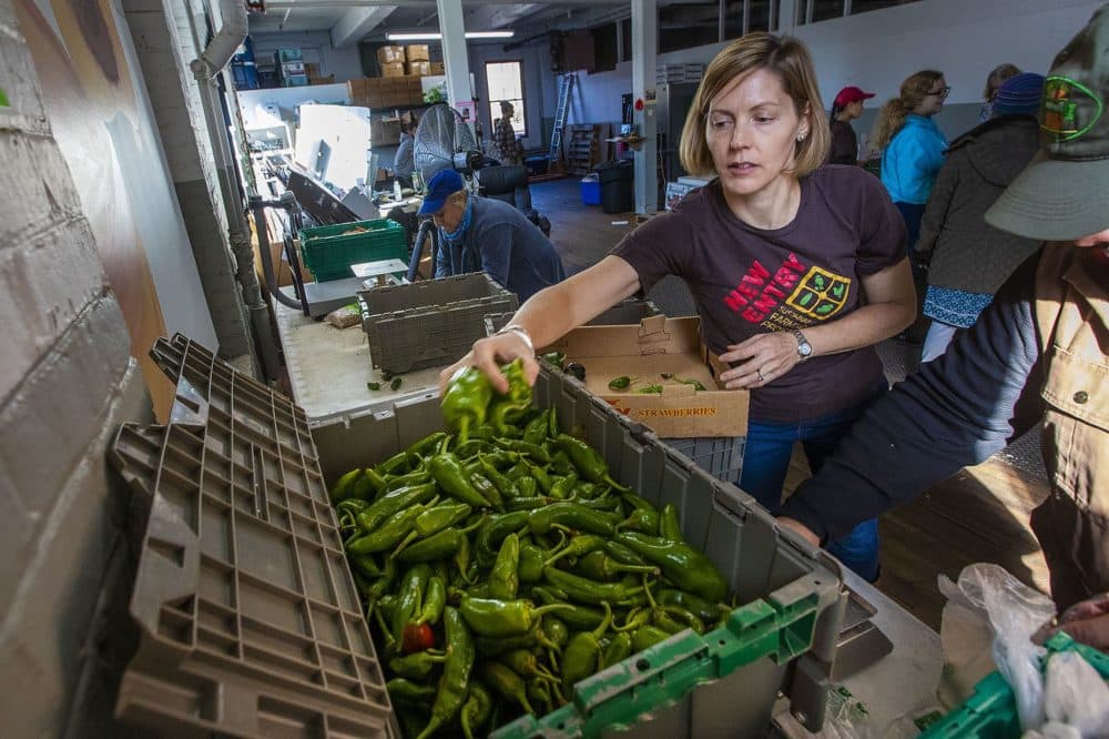 Jennifer Hashley, director of the New Entry Sustainable Farming Project, grabs a handful of peppers for farm share orders in Lowell. (Jesse Costa/WBUR)