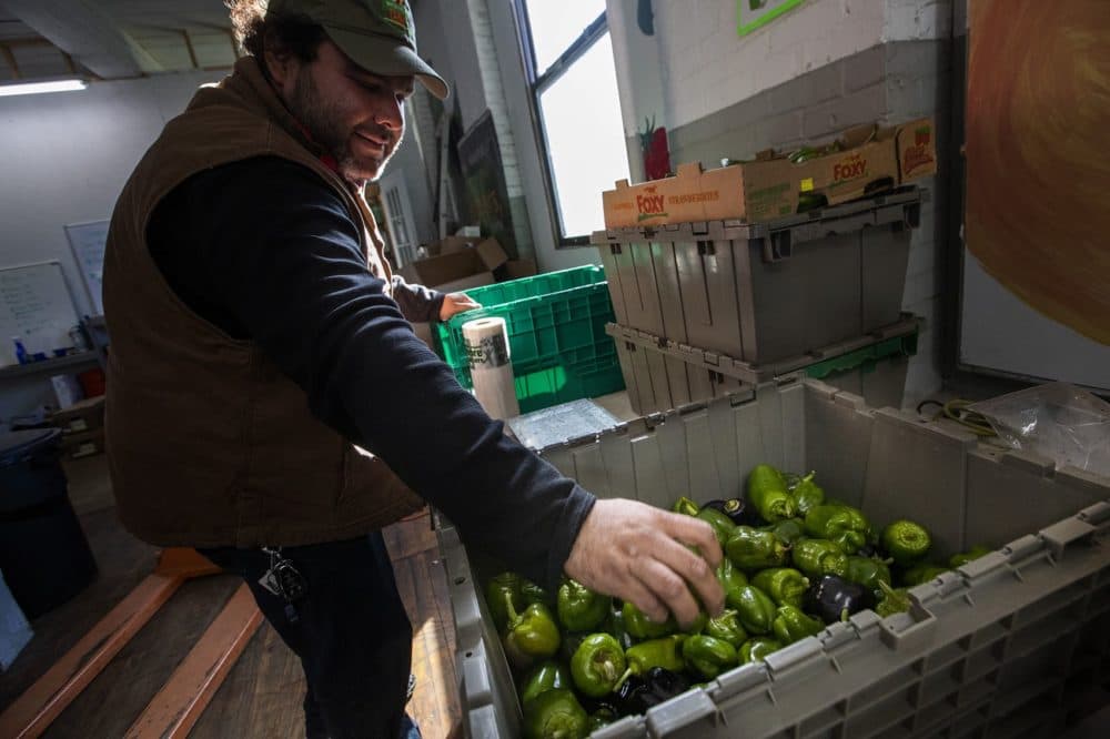 Jorge Marzuca of Whitemars Farm in Dracut weighs and packs up bags of peppers for CSA farm shares. (Jesse Costa/WBUR)