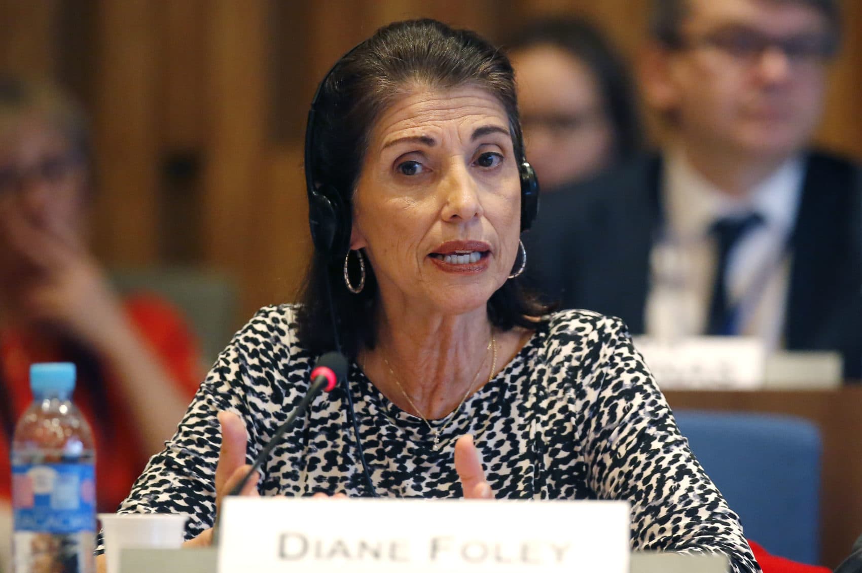 Diane Foley, founder and president of James W. Foley Legacy Foundation, speaks at the UNESCO headquarters in Paris on Feb. 5, 2016. (Michel Euler/AP)