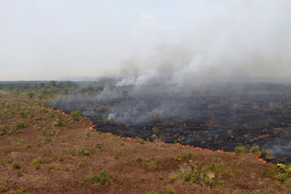 In this Aug. 25, 2016 photo released by Ibama, the Brazilian Environmental and Renewable Natural Resources Institute, a forest fire burns in Xingu Indigenous Park in Mato Grosso in Brazil's Amazon basin. The &quot;tipping point for the Amazon system&quot; is 20 to 25 percent deforestation, according to Carlos Nobre and Thomas Lovejoy, environmental scientists at George Mason University. (Vinicius Mendonca/Ibama via AP)