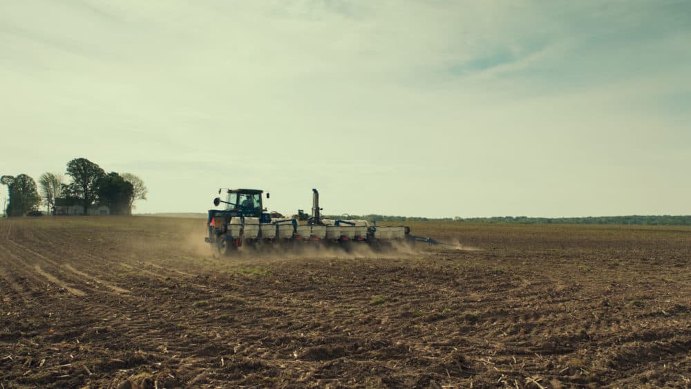 A farm in Monrovia. (Courtesy Zipporah Films)