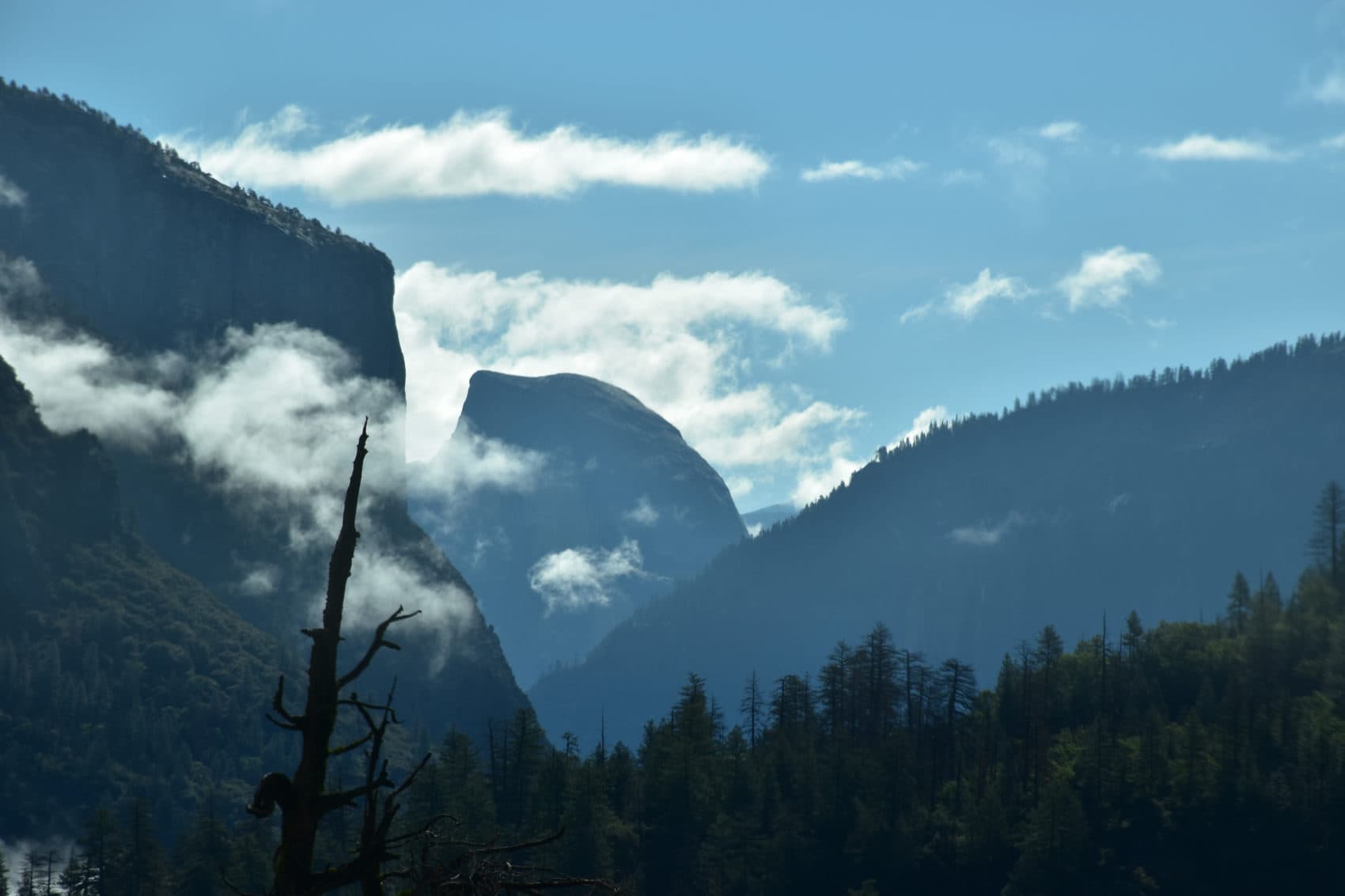 El Capitan (left) and Half Dome (center) define the Yosemite landscape. (Susan Valot for WBUR)