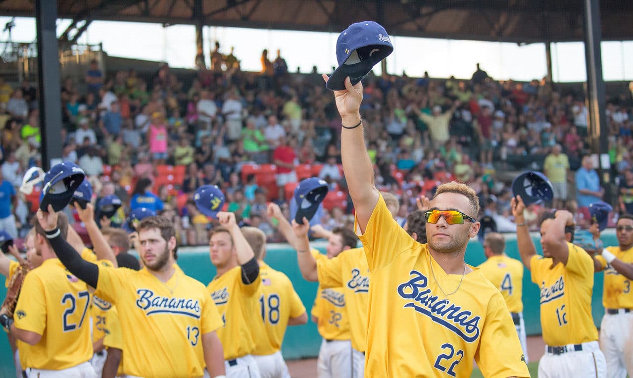 The 2018 Savannah Bananas set the Coastal Plain League's all-time attendance record with over 118,000 fans on the season. (Courtesy Jesse Cole)