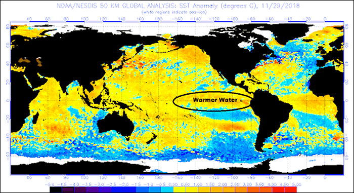 Warmer-than-average water off the coast of Peru is indicative of an El Niño condition. (Courtesy of NOAA)