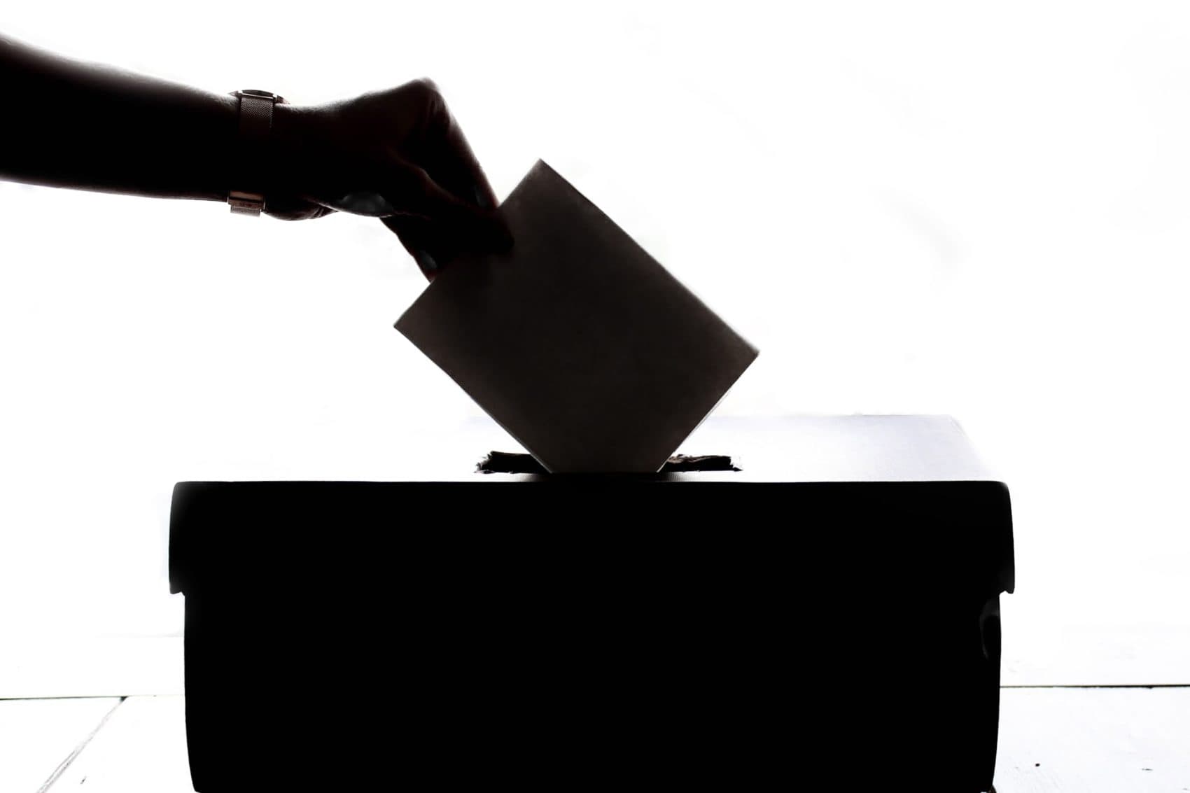 We Asked, You Answered: What's Motivating You To Vote This Year?