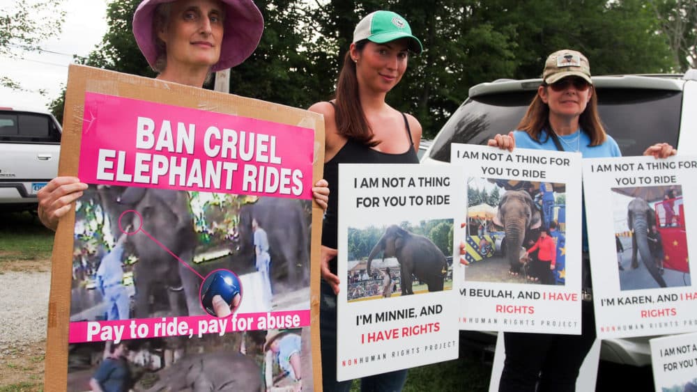 Connecticut residents Jill Alibrandi of Redding, Michelle Catino of Stamford and Lea Haut of Bridgeport protest the elephant rides at the Goshen Fair. (Ben James/NEPR)