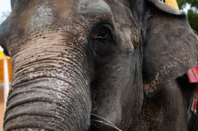 Need a pick me up? Here are 3 stories to make you smile this week