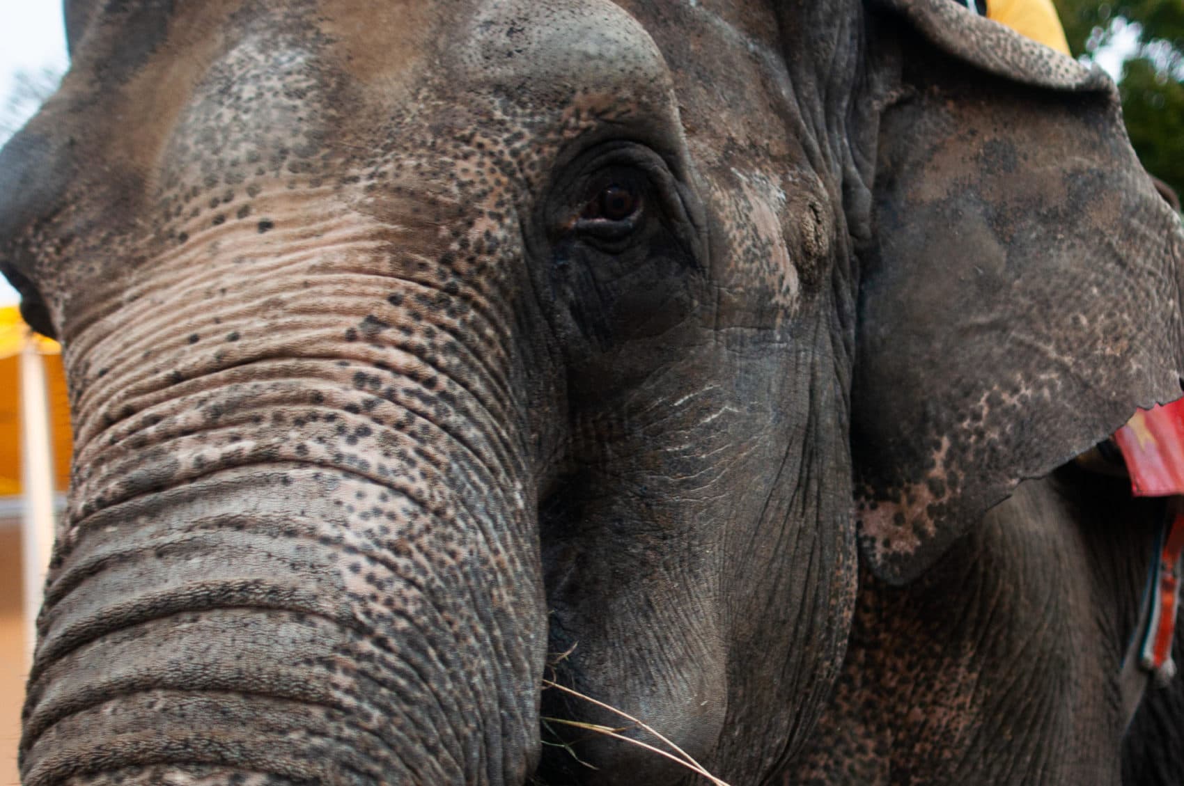 Need a pick me up? Here are 3 stories to make you smile this week