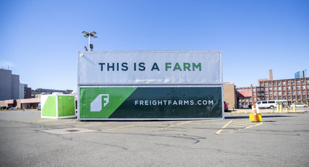 Two Freight Farms Leafy Green Machines sit stacked in a parking lot in the South End of Boston. (Jesse/CostaWBUR)