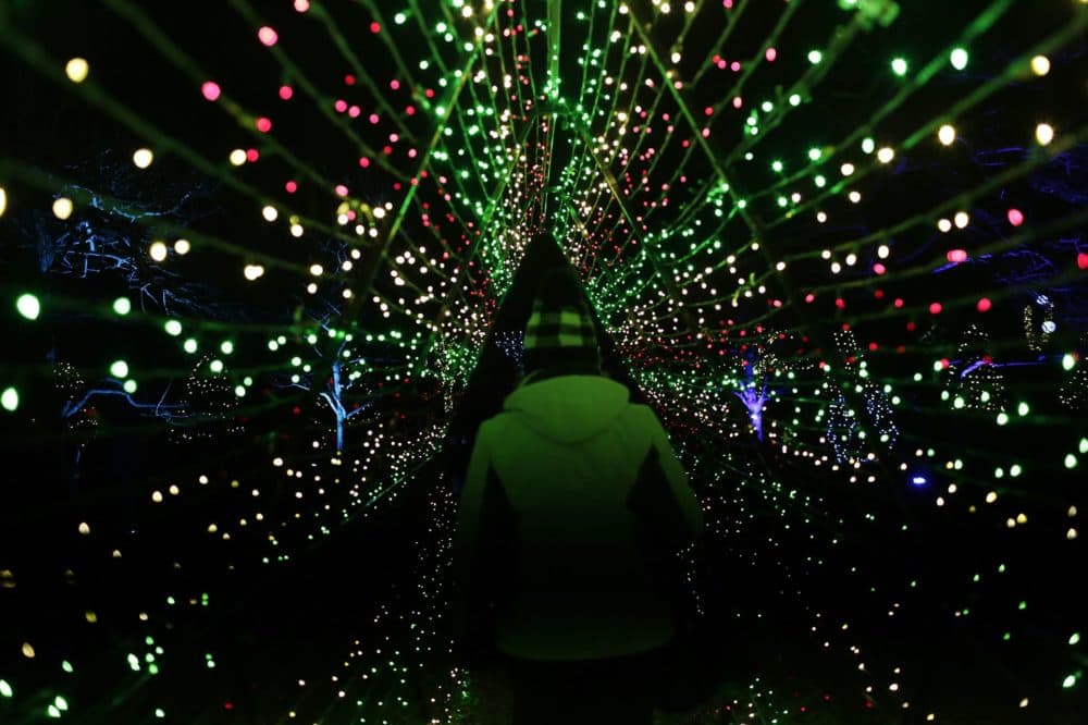People walk through the Winterlights display at the Stevens-Coolidge Place in North Andover. (Hadley Green for WBUR)